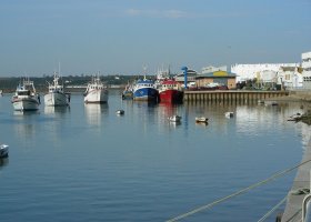 Muelle Catena